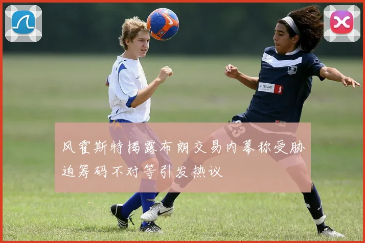 风霍斯特揭露布朗交易内幕称受胁迫筹码不对等引发热议